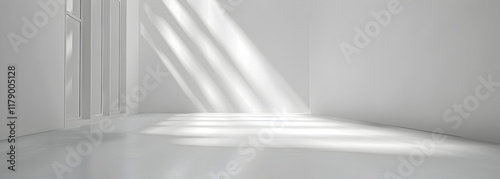 White Room with Shadows photo