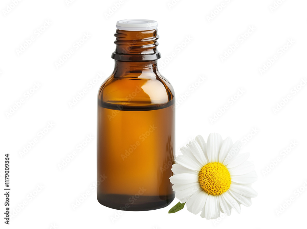 Chamomile essential oil bottle with Chamomile flower next to, isolated Chamomile essential oil bottle with Chamomile flower next to, isolated