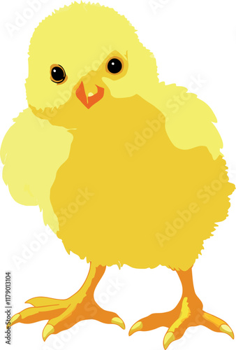 Cute baby chick standing on white background