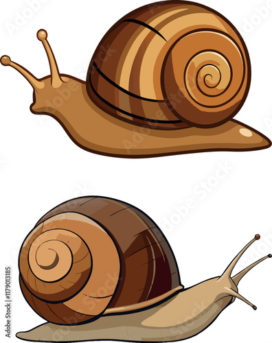 Two snails sliding on white background