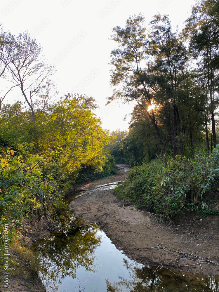 Fototapeta premium river in autumn forest