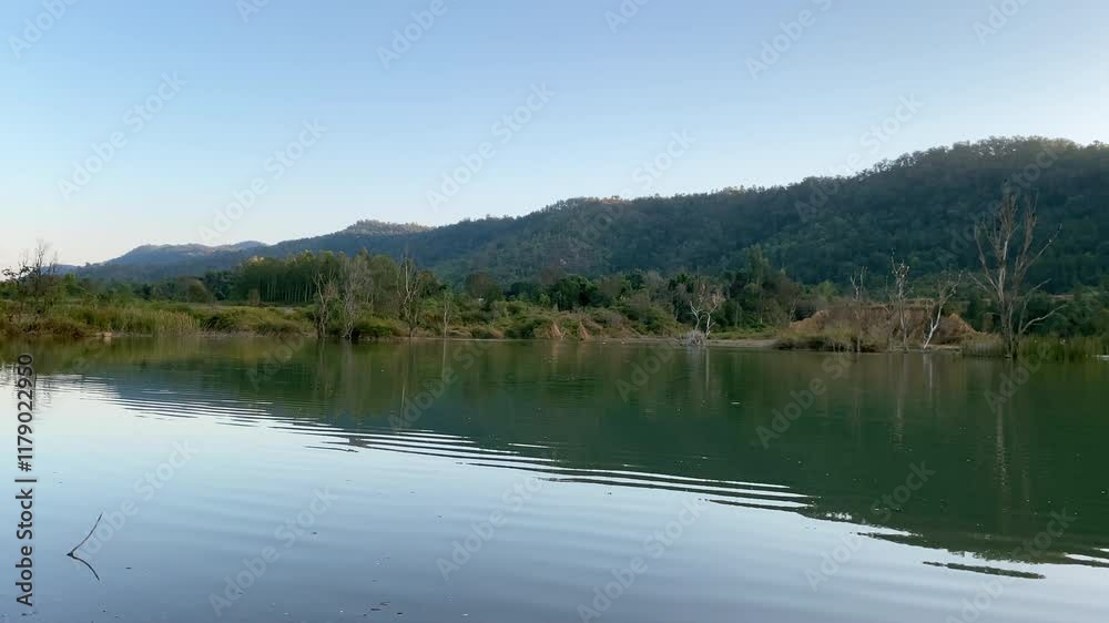 reflection of trees in the lake reflection of trees in the lake