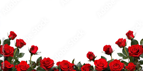 Fototapeta Naklejka Na Ścianę i Meble -  red roses border