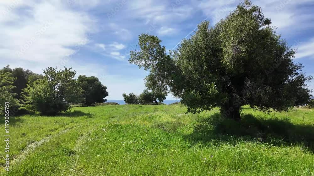 Amazing view of Sithonia coastline near Kastri Beach, Chalkidiki, Central Macedonia, Greece