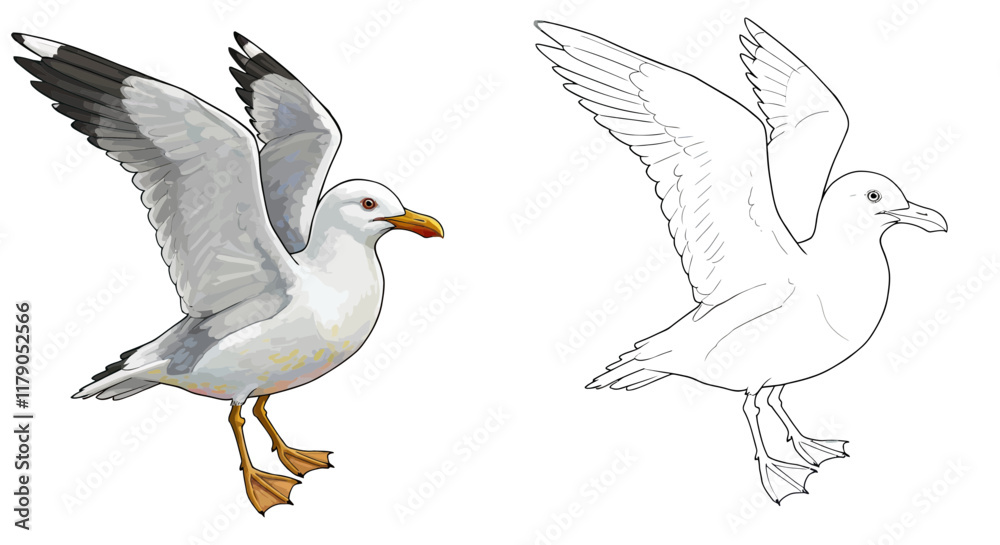 Obraz premium The coloring page of two seagulls is isolated on a transparent background for children's color fill.