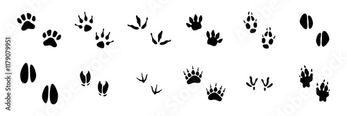 Domestic and wild animal footprints collection. Vector isolation prints of bird and fauna creations paws. Wildlife foot icons, pets footsteps silhouette. Livestock footmarks set in grunge style