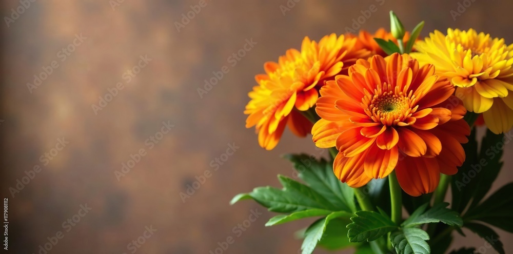 Bouquet of fresh French marigold stems with leaves, leaf, decoration Bouquet of fresh French marigold stems with leaves, leaf, decoration