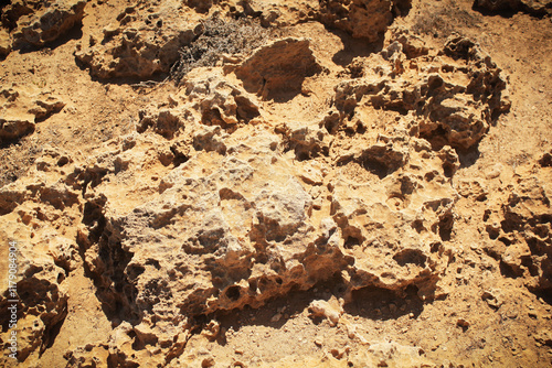 Close up view of corals in Ayia Napa.