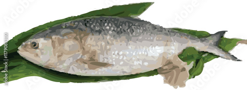 Create a Ilish fish vector art with white background.