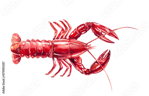 Boiled red lobster. Delicate fresh sea food hand drawn watercolor illustration isolated on white