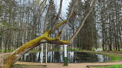 A park and a building of old poetical villa in Tver region 