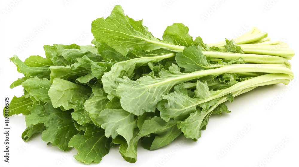 Lettuce salads and vegetables vector banners of mangold kale or collard, chicory and spinach, arugula, lollo rossa and radicchio, romaine and pak choi or sorrel, swiss chard batavia and gotukola Lettuce salads and vegetables vector banners of mangold kale or collard, chicory and spinach, arugula, lollo rossa and radicchio, romaine and pak choi or sorrel, swiss chard batavia and gotukola