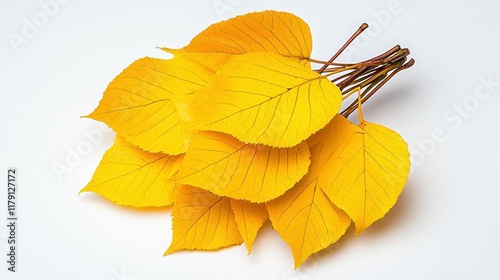 A photostock of golden autumn leaves scattered across a clean white background, symbolizing seasonal change and beauty. High Quality