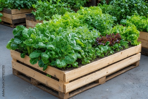 Vegetables growing in a well-organized raised bed, offering a perfect example of efficient gardening. photo