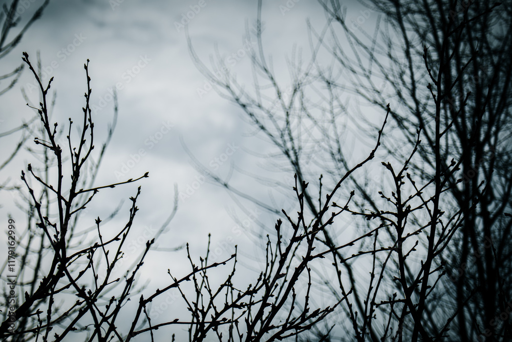 branches of a tree branches of a tree