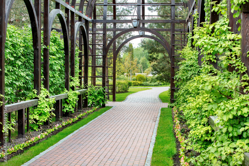 Serene pathway through a lush garden archway in full bloom at midday