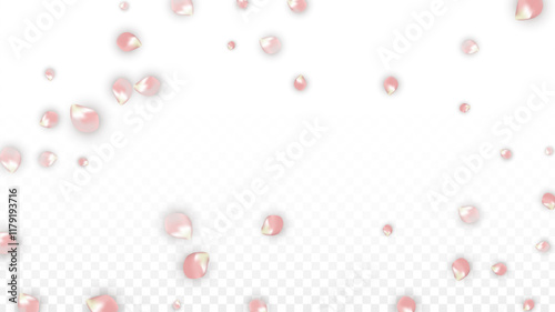 Pink Vector Realistic Petals Falling on Transparent Background. Spring Romantic Flowers Illustration. Flying Petals. Sakura Spa Design. Blossom Confetti. Design Elements for Wedding Decoration.