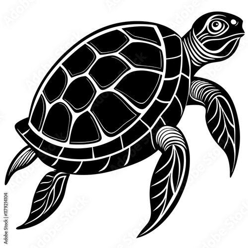 turtle illustration