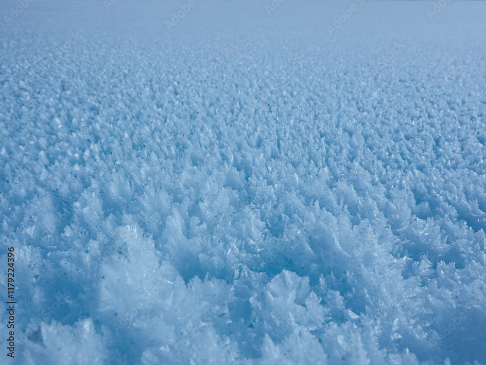 Hoar frost on snow in a pasture, Rougemont Hoar frost on snow in a pasture, Rougemont