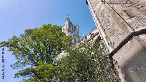 A view from below showing the intricate Gothic steeple of Saint Bavo's Cathedral rising behind lush green trees, showcasing a blend of nature and historical architecture. photo