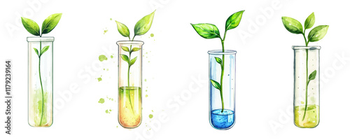 Watercolor set of plants in glass test tube png. Plant research culture. Plants in test tube. Concept of biology, scientific research of plants and preservation of ecosystem.