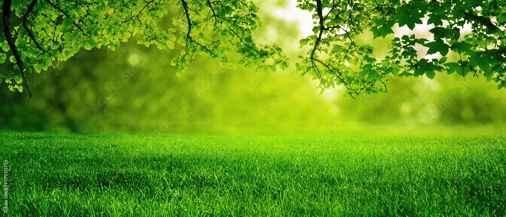 Obraz premium Lush green grass meadow background invites relaxation, a perfect setting for a peaceful retreat. Generative AI