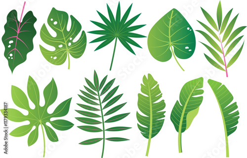 Set of green tropical leaves of palm tree, monstera, banana, croton, ferns. Vector design elements on white background for games, prints, templates.