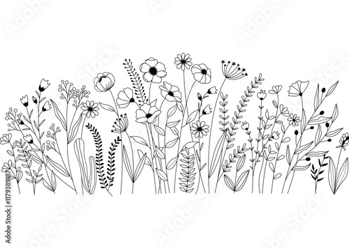 Hand drawn flower meadow Style vector illustration, Wild flower outline drawing, Botanical flowers and leaf herbs isolated on white Background, Invitation, Wedding card, Greeting card, Posster.