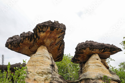 Pha Taem National Park, Ubon Ratchathani, Mekong River, see prehistoric paintings on the cliff, strangely shaped stone pillars and a small field of colorful flowers in late rainy season, early winter. photo