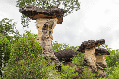 Pha Taem National Park, Ubon Ratchathani, Mekong River, see prehistoric paintings on the cliff, strangely shaped stone pillars and a small field of colorful flowers in late rainy season, early winter. photo