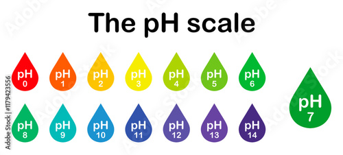 pH scale chart indicator diagram value acidic, neutral and alkaline solution.   Monitor pH for Alkaline neutral and Acid levels. Chart for the Acidic Neutral and Alkaline pH of various liquids.