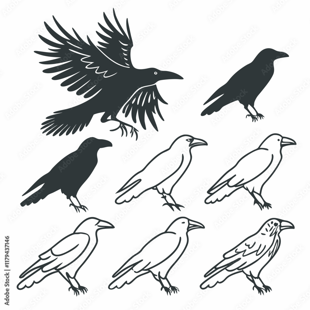 Fototapeta premium set of birds