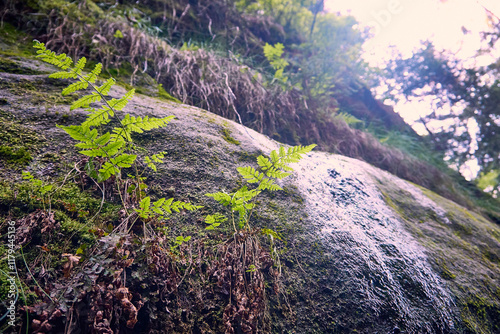 Wanderpfad Wilde Hölle in der Sächsischen Schweiz, Deutschland