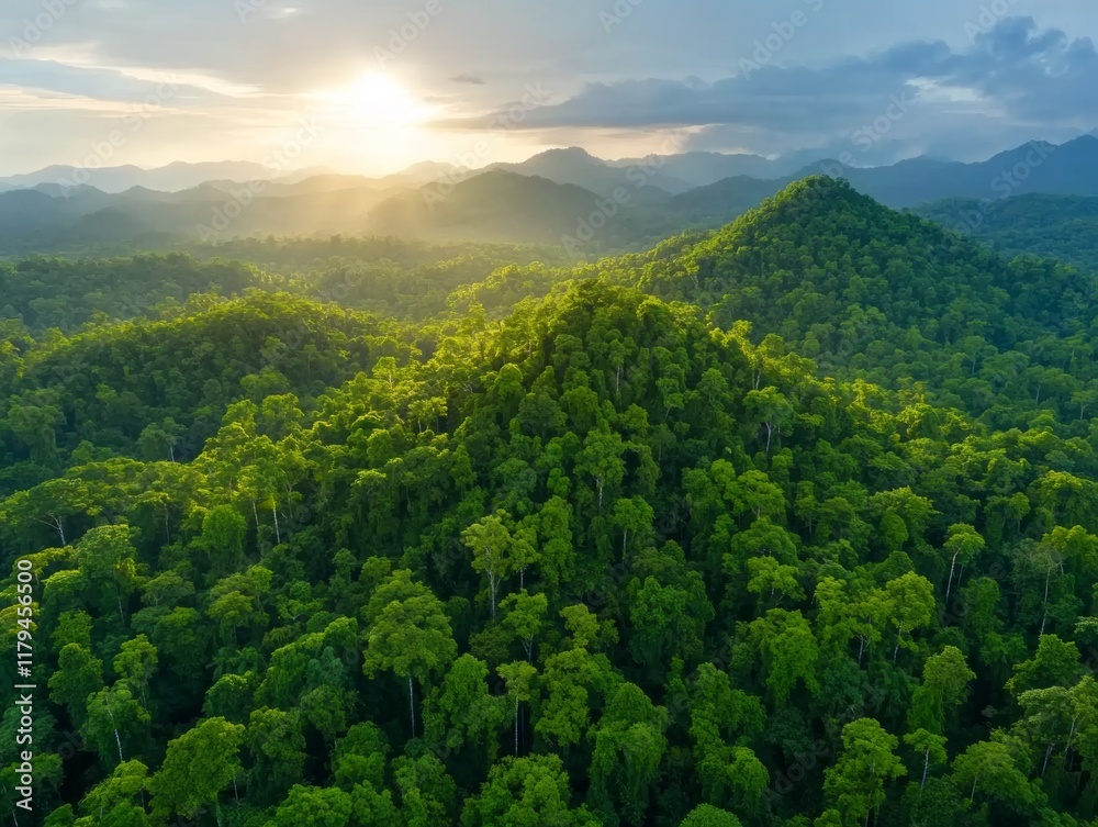 Lush green hills under a vibrant sunset sky. Lush green hills under a vibrant sunset sky.