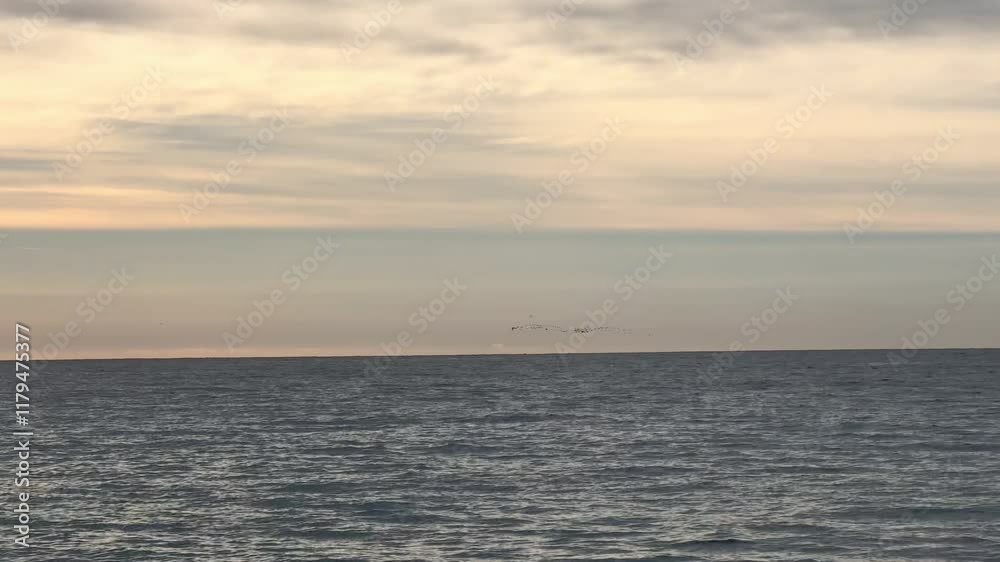 Birds Flying in the Distance at Sunrise with Cloudy Sky Over Mediterranean. Birds Flying in the Distance at Sunrise with Cloudy Sky Over Mediterranean.