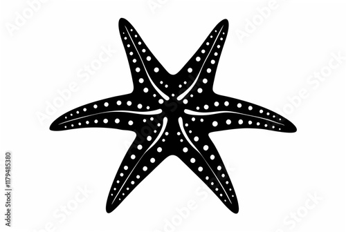 starfish black  silhouette vector