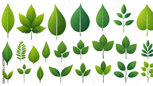 Set of isolated green leaf icons on white background. Various forms of green leaves of trees and plants. Abstract natural leaf icons. Elements for ecotypes and biotypes. Vector illustration. EPS 10 photo