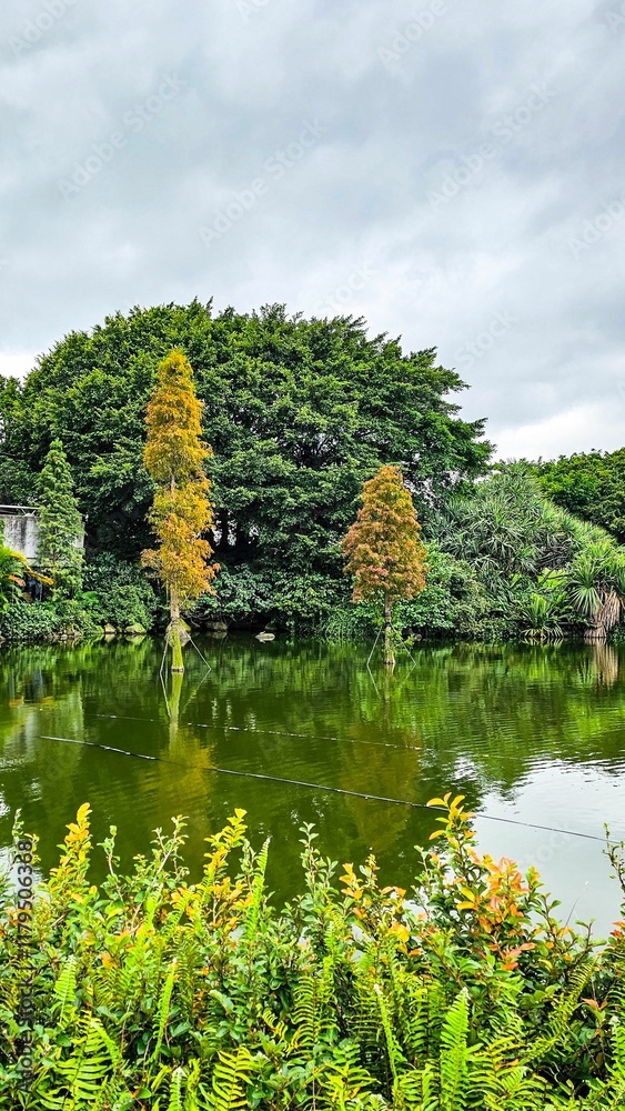 Obraz premium Serene pond with lush greenery and reflections.