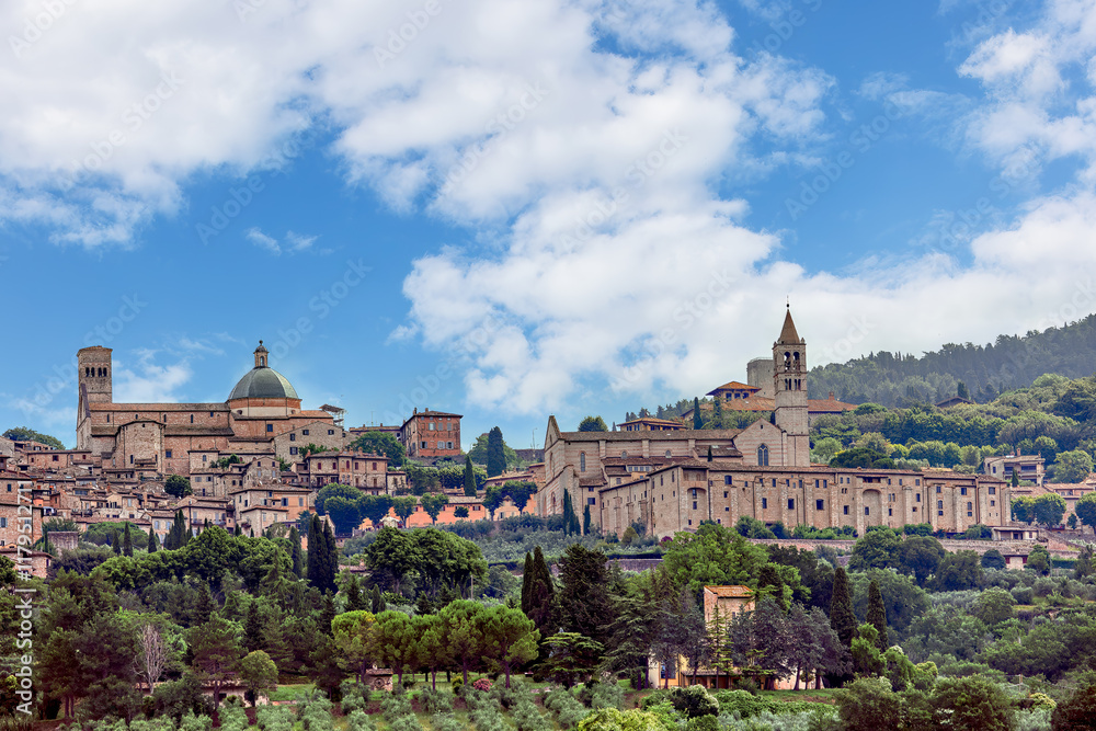 View of medieval town of Assisi, Umbria , Italy. Assisi, one of the most visited places of pilgrimage, the birthplace of St. Francis and St. Clare (Umbria, Italy).
