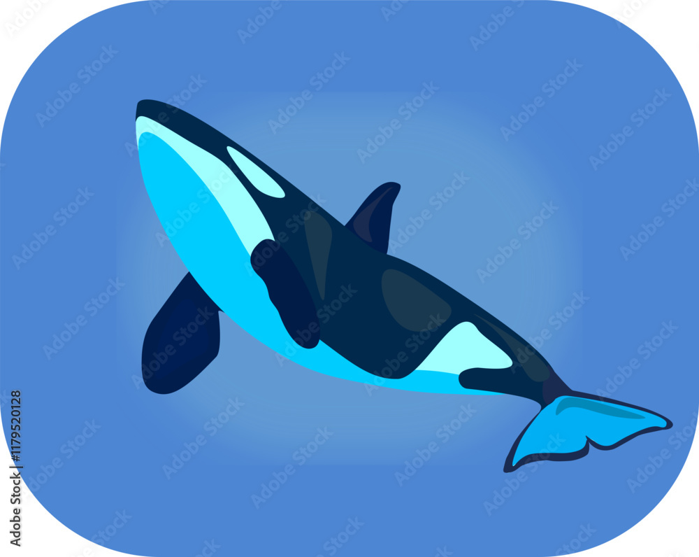 Obraz premium Killer whale icon. Vector illustration of a cartoon killer whale.