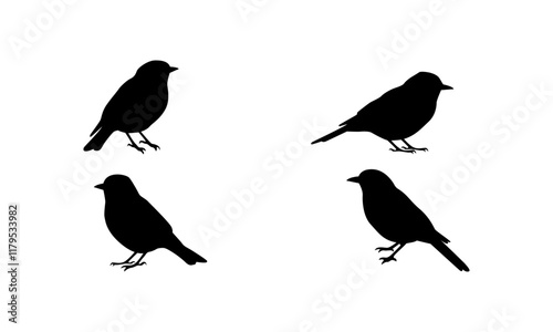 Bird silhouette set vector in black and white
