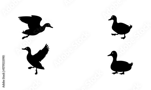 duck silhouette set in white and black