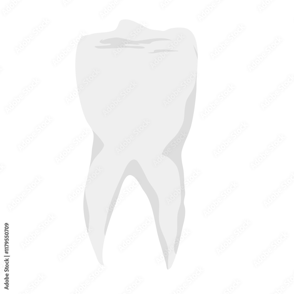 Human teeth vector