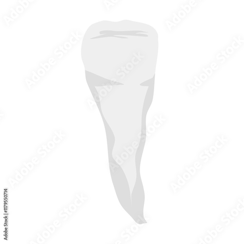 Human teeth vector