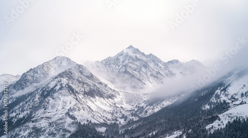Wallpaper Mural A panoramic landscape of rugged peaks blanketed in fresh snow, with soft flakes swirling in the crisp air. Torontodigital.ca