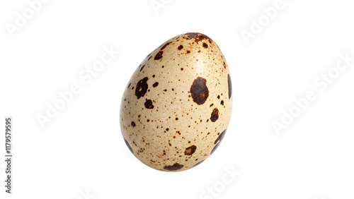 Quail egg isolated on transparent background photo