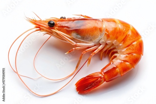 Wallpaper Mural Fresh Shrimp Minimalist Photography: Clean, Simple Seafood Image Torontodigital.ca