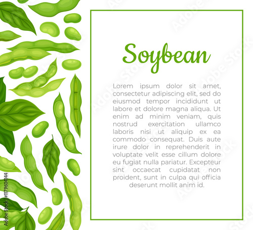 Green Soybean Pod Natural Organic Crop Banner Design Vector Template