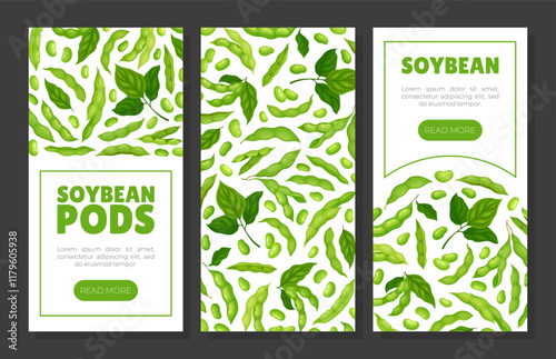 Green Soybean Pod Natural Organic Crop Banner Design Vector Template