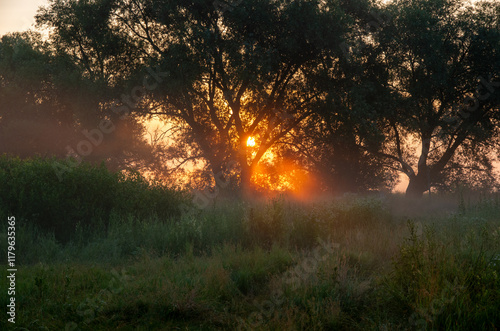 Foggy sunrise on Desna river photo